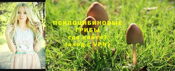 твердый Надым