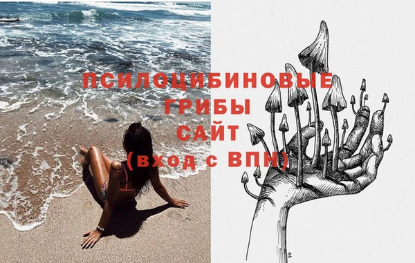каннабис Нефтекумск