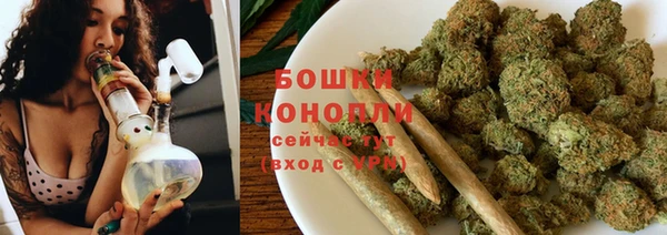 твердый Надым